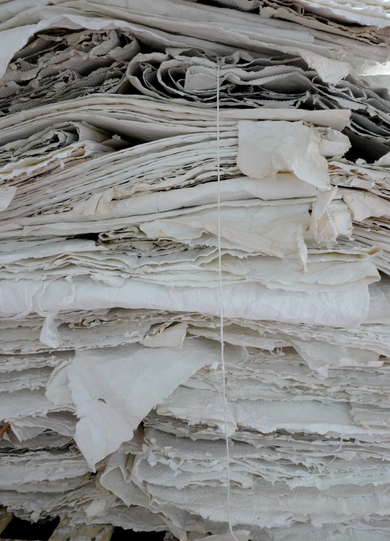 SANS TITRE  325, 2024,  50 x 40 cm