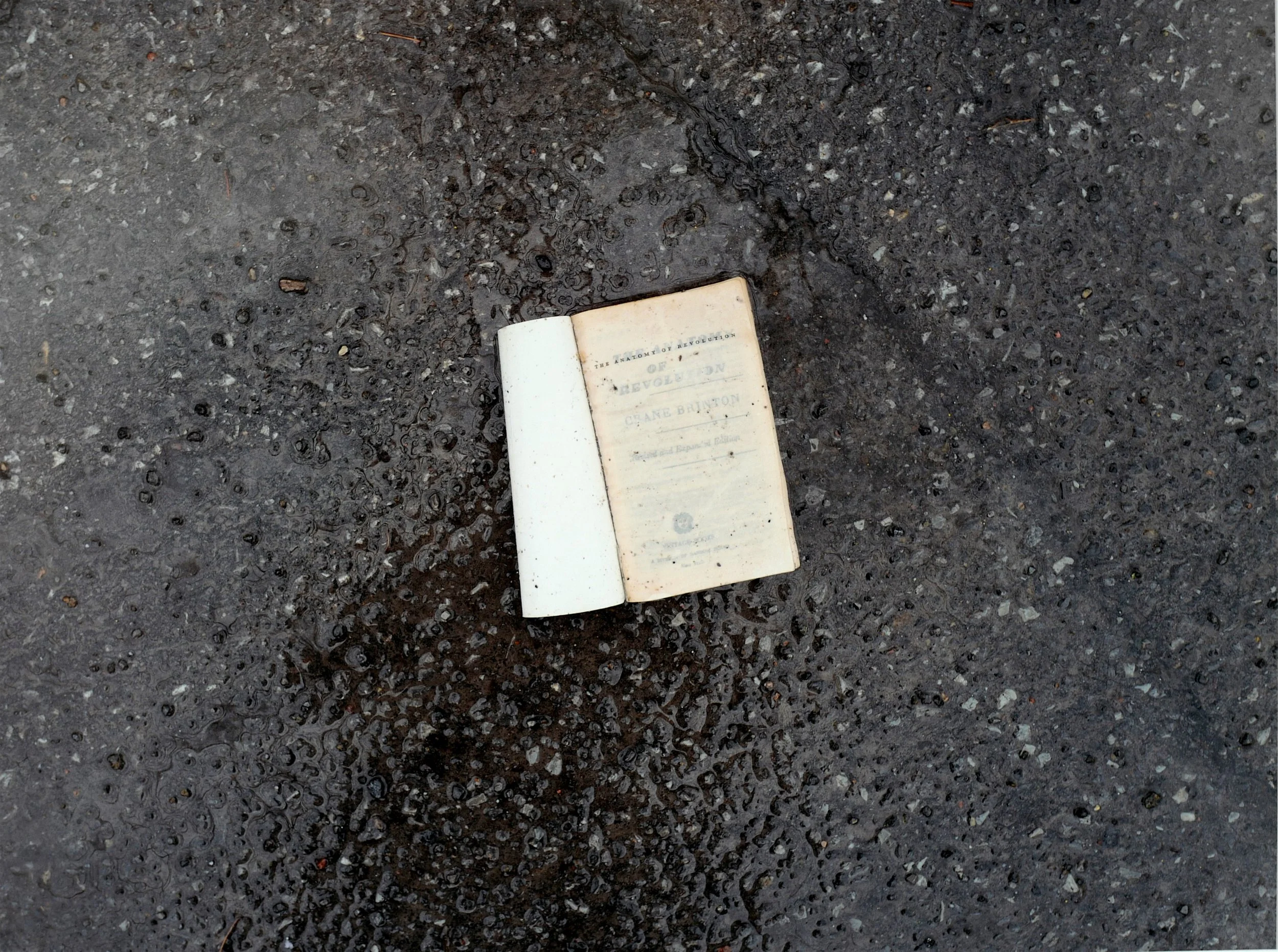 Petits riens sur macadam