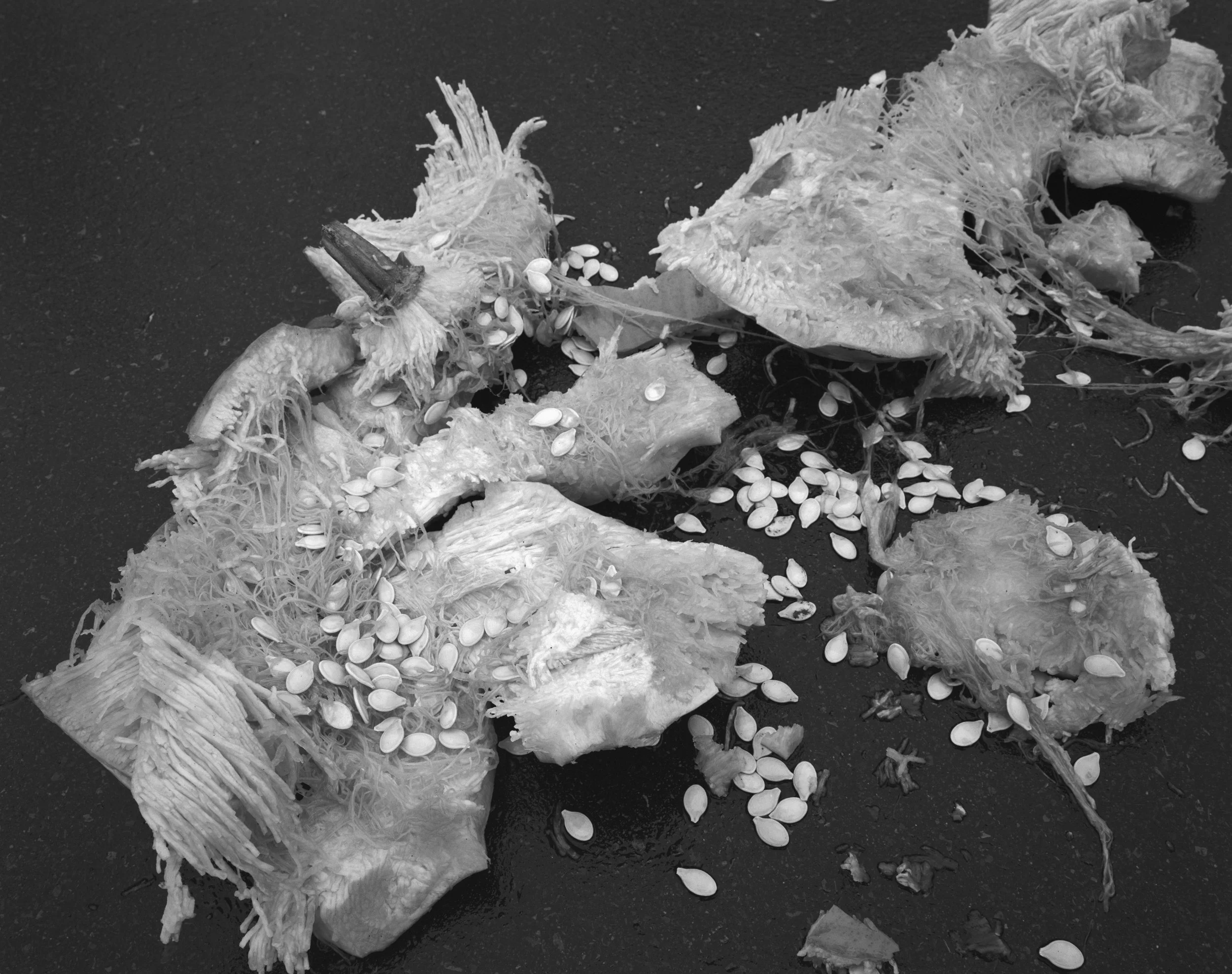 SANS TITRE 62, 2004, 51 x 61 cm