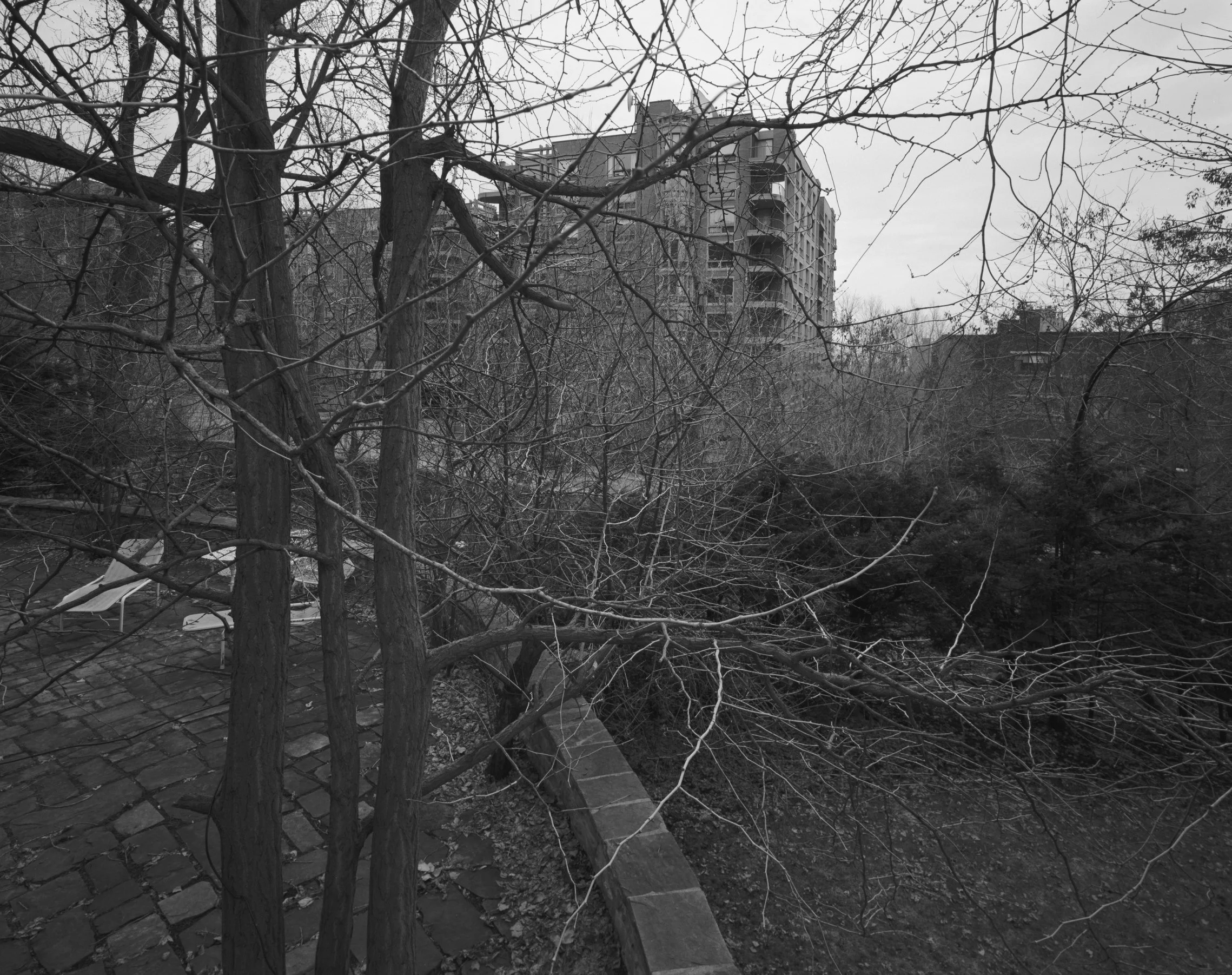 SANS TITRE 74, 2005, 78,7 x 81,3 cm 
