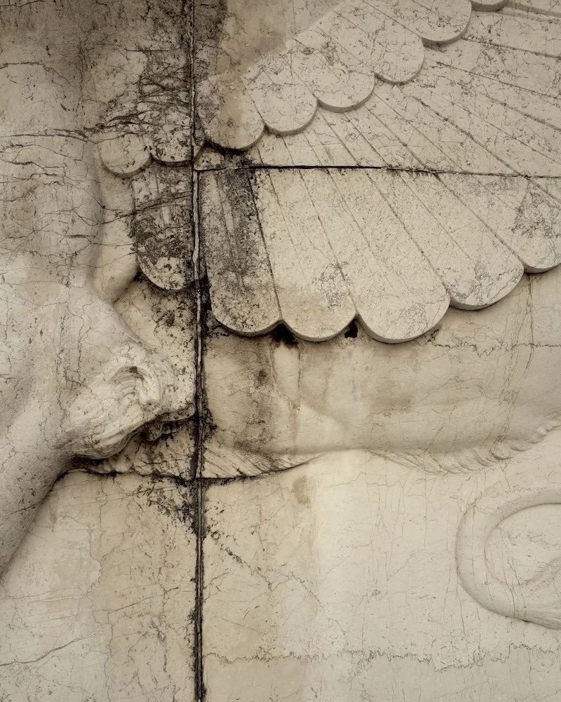SANS TITRE 210, 2023, 76 x 61 cm