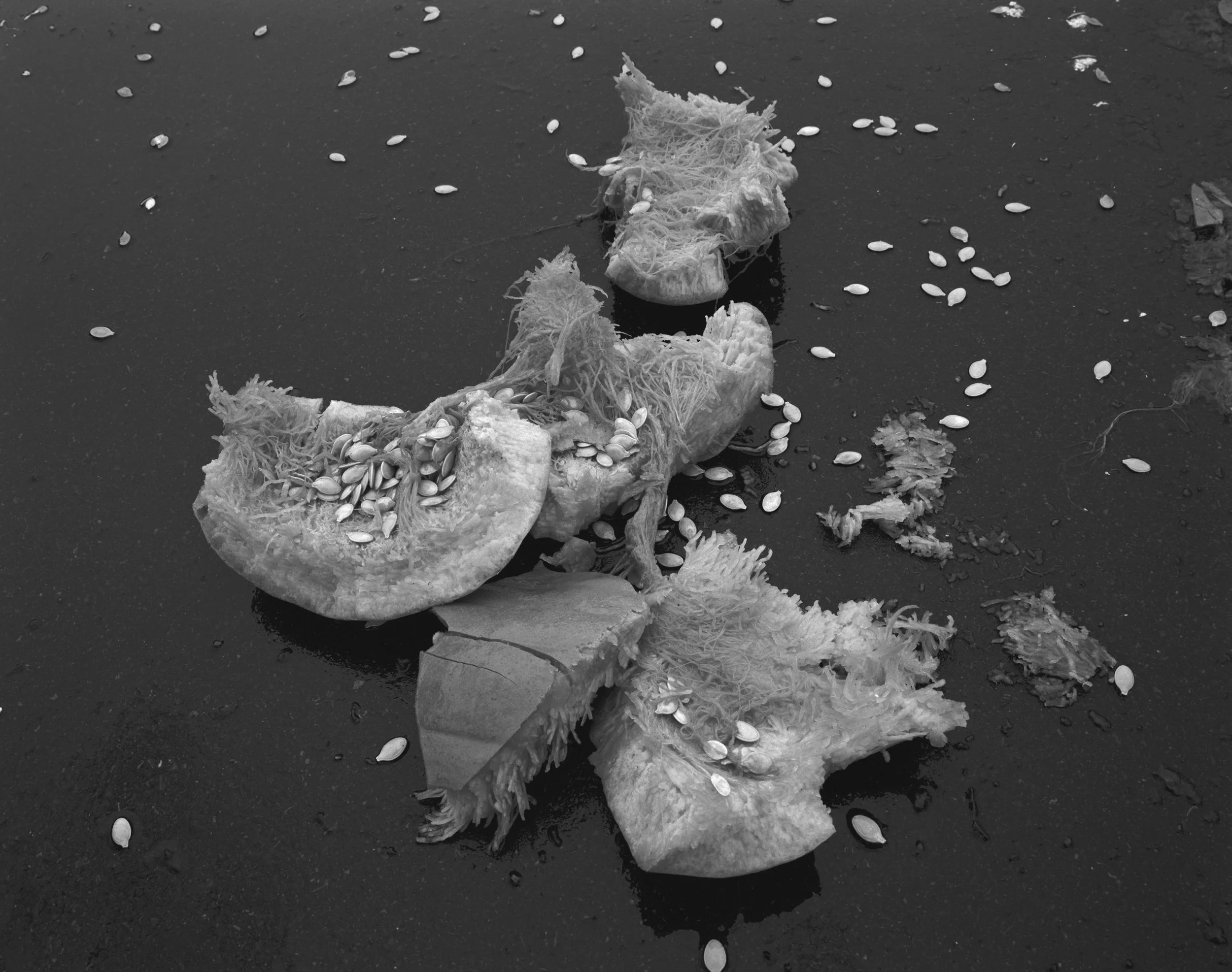SANS TITRE 63, 2004, 51 x 61 cm
