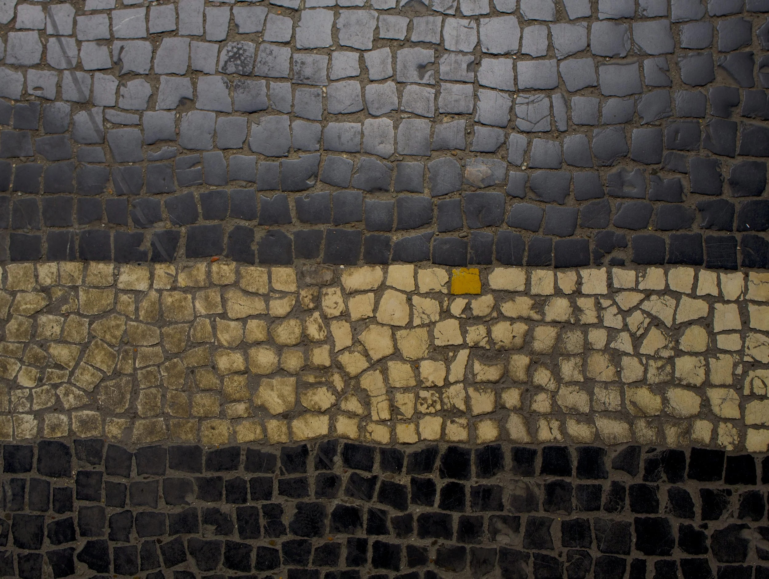 SANS TITRE 113, 2023, 50 x 60 cm