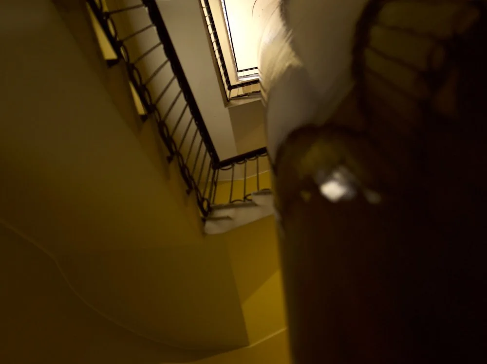 SANS TITRE 220, 2023, 102 x 127 cm