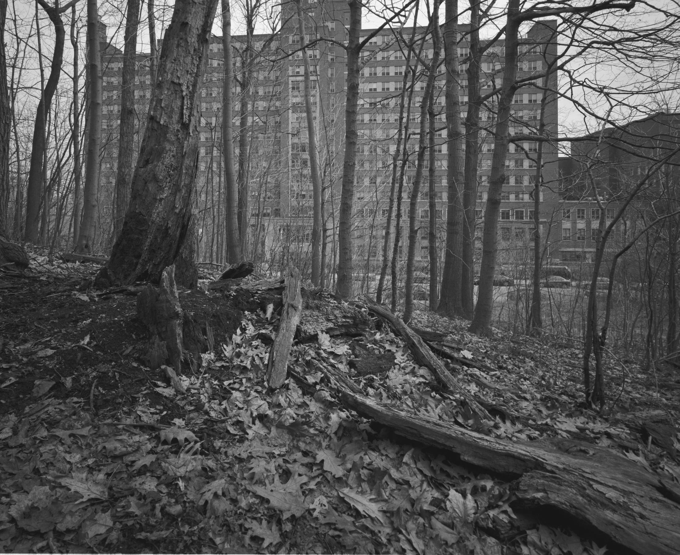 SANS TITRE 84, 2006, 155 x 185,5 cm