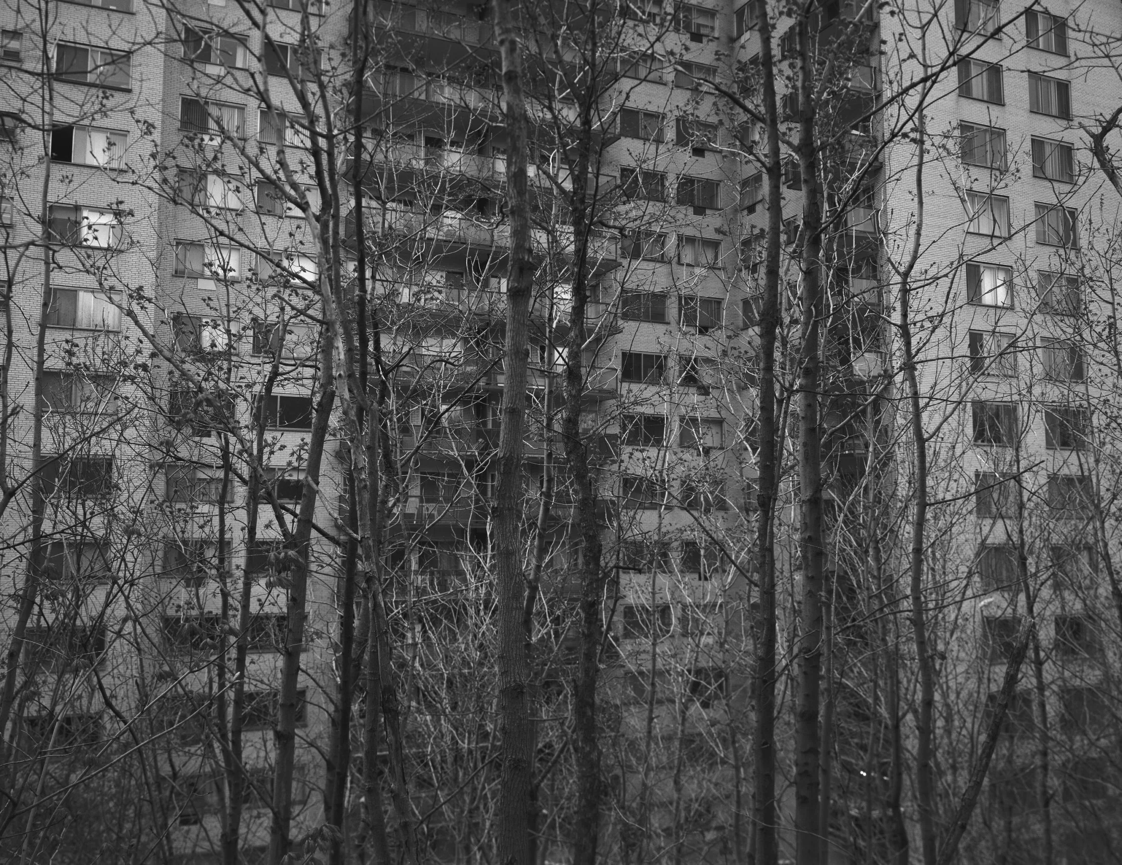 SANS TITRE 76, 2005, 78,7 x 81,3 cm 