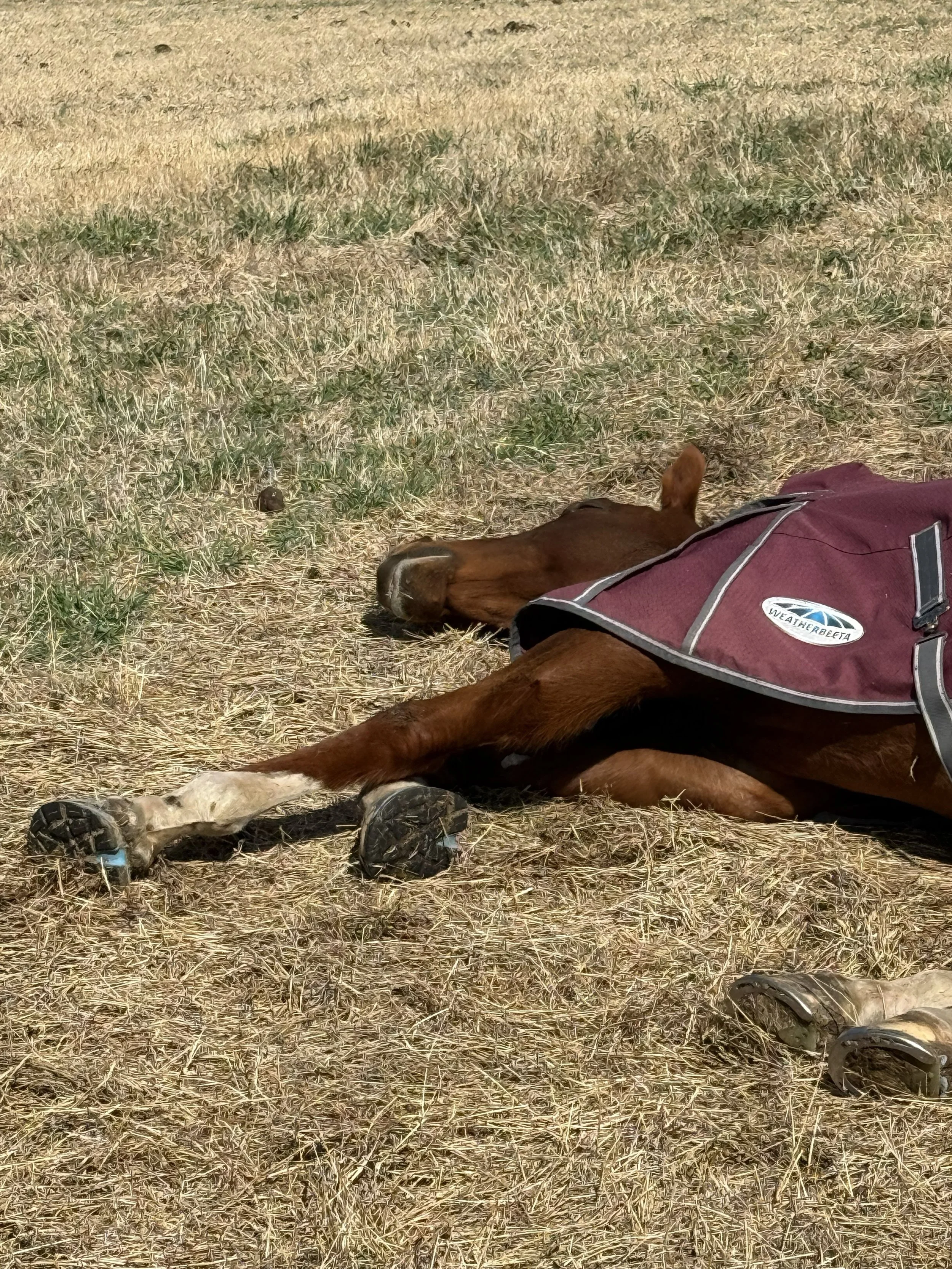 The Importance of Rest 