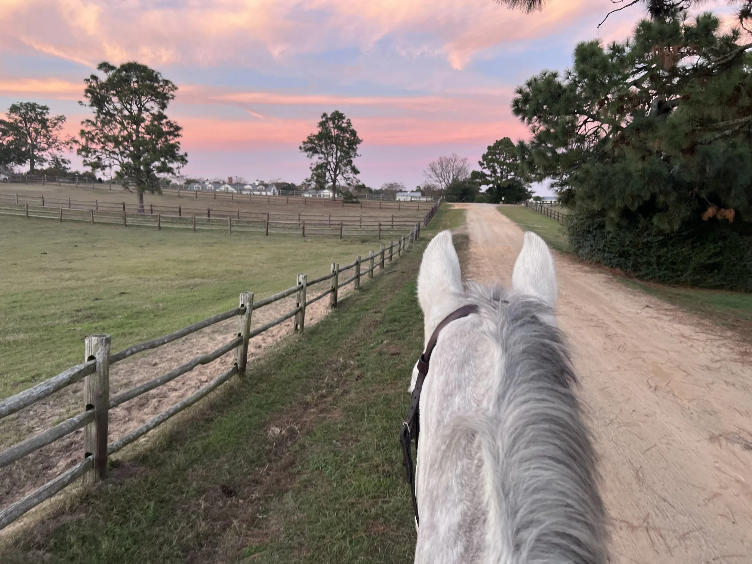 Changing Nutrition to Suit Workloads