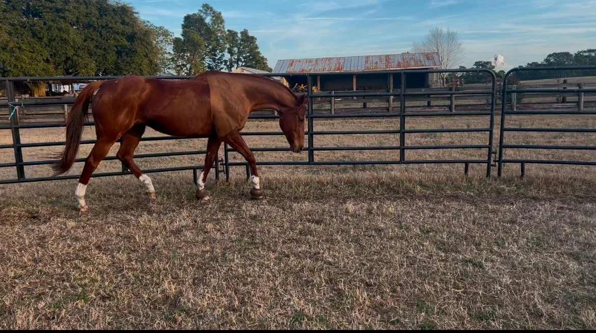 Guest Article: Dr Bill Vandergrift