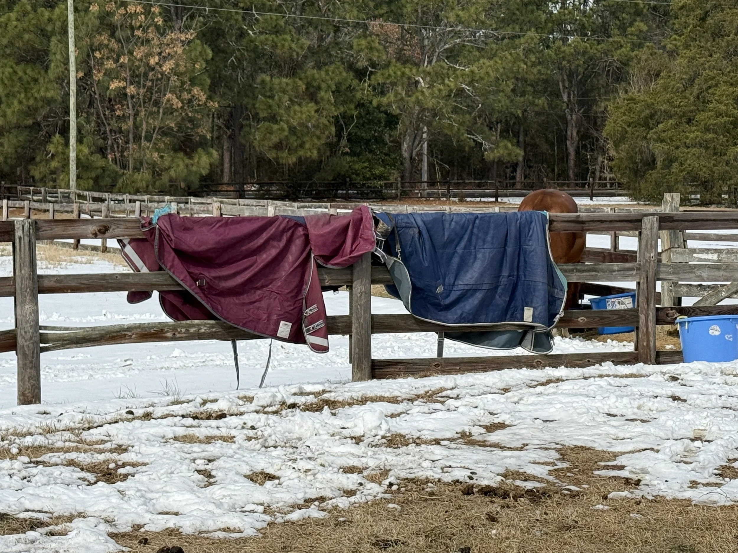 Why are my blankets always on the fence?