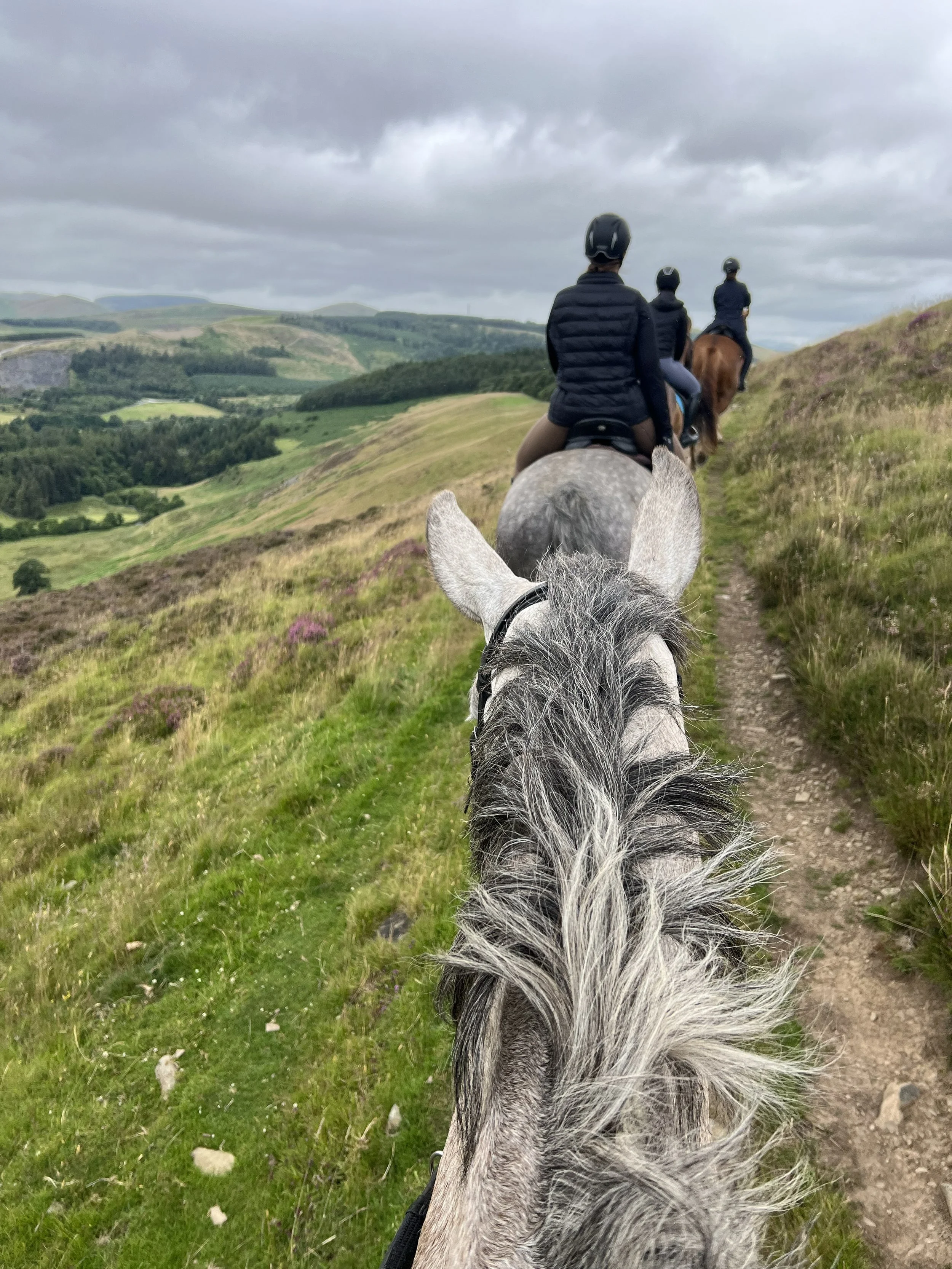 Did you know you can read my articles online?