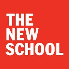 Red background with bold white text that reads 'THE NEW SCHOOL'.