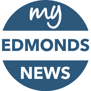 Snohomish County residents send government AI use recommendations to County Council