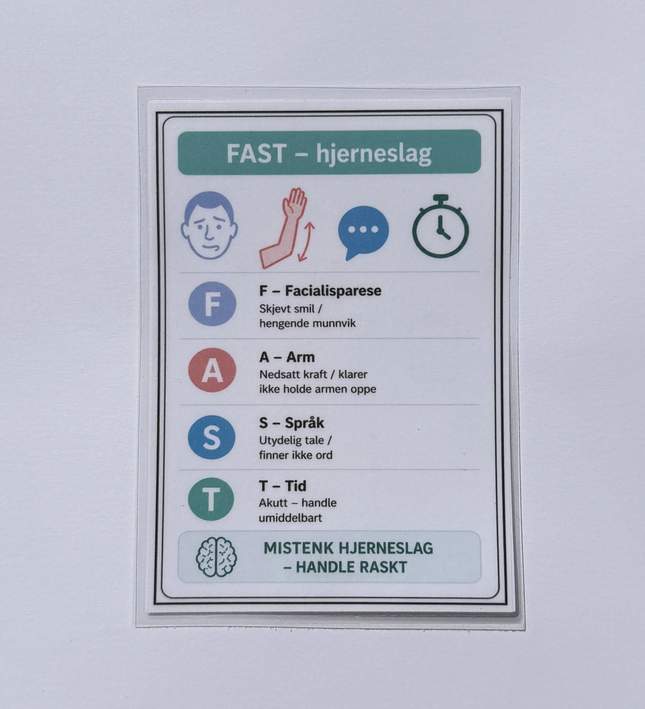 FAST BAK.JPG