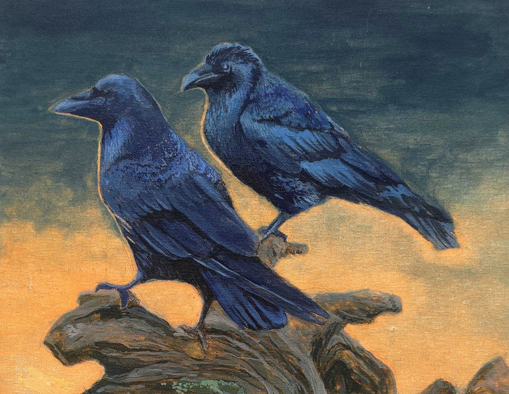 Two blue birds perched on a rocky surface during sunset against a greenish sky.