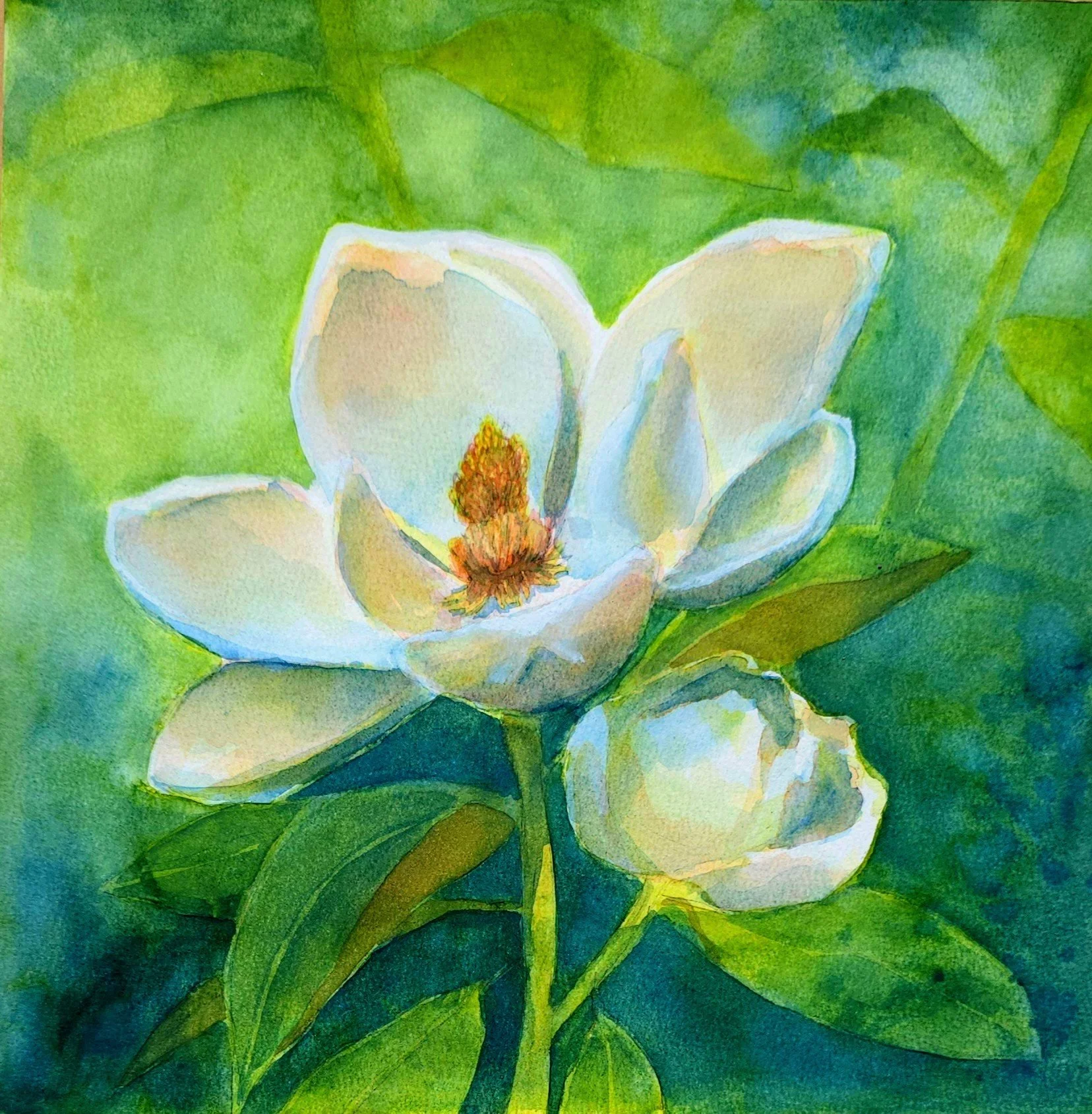 Watercolor painting of white magnolia flower with yellow center against green leaves background.
