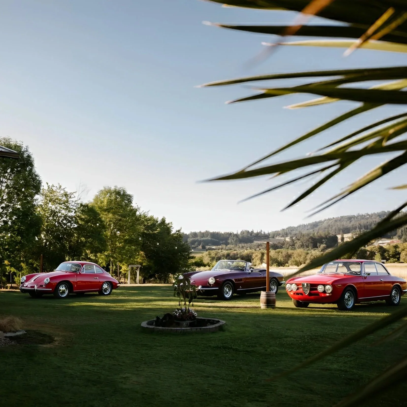 MOTORSPORTS & AUTOMOTIVE