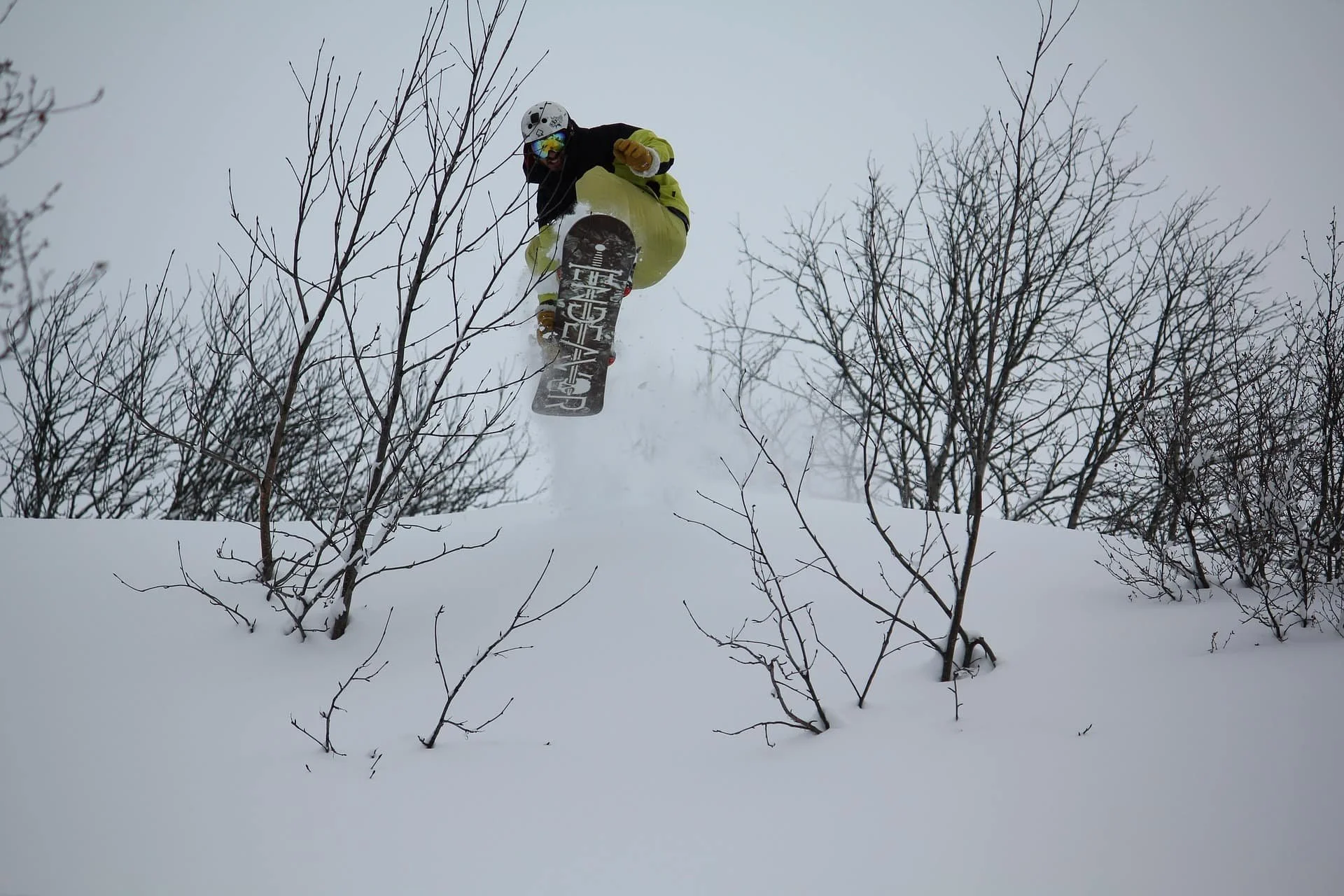 Snowboarder jumping through trees