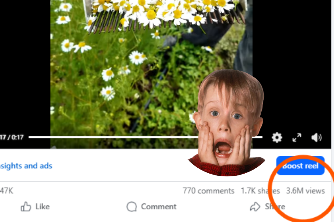 Anatomy of a Viral Post: How A 17-Second Reel Hit 5 Million Views (and Counting)