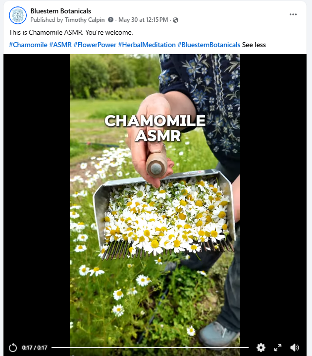 Viral Video Report