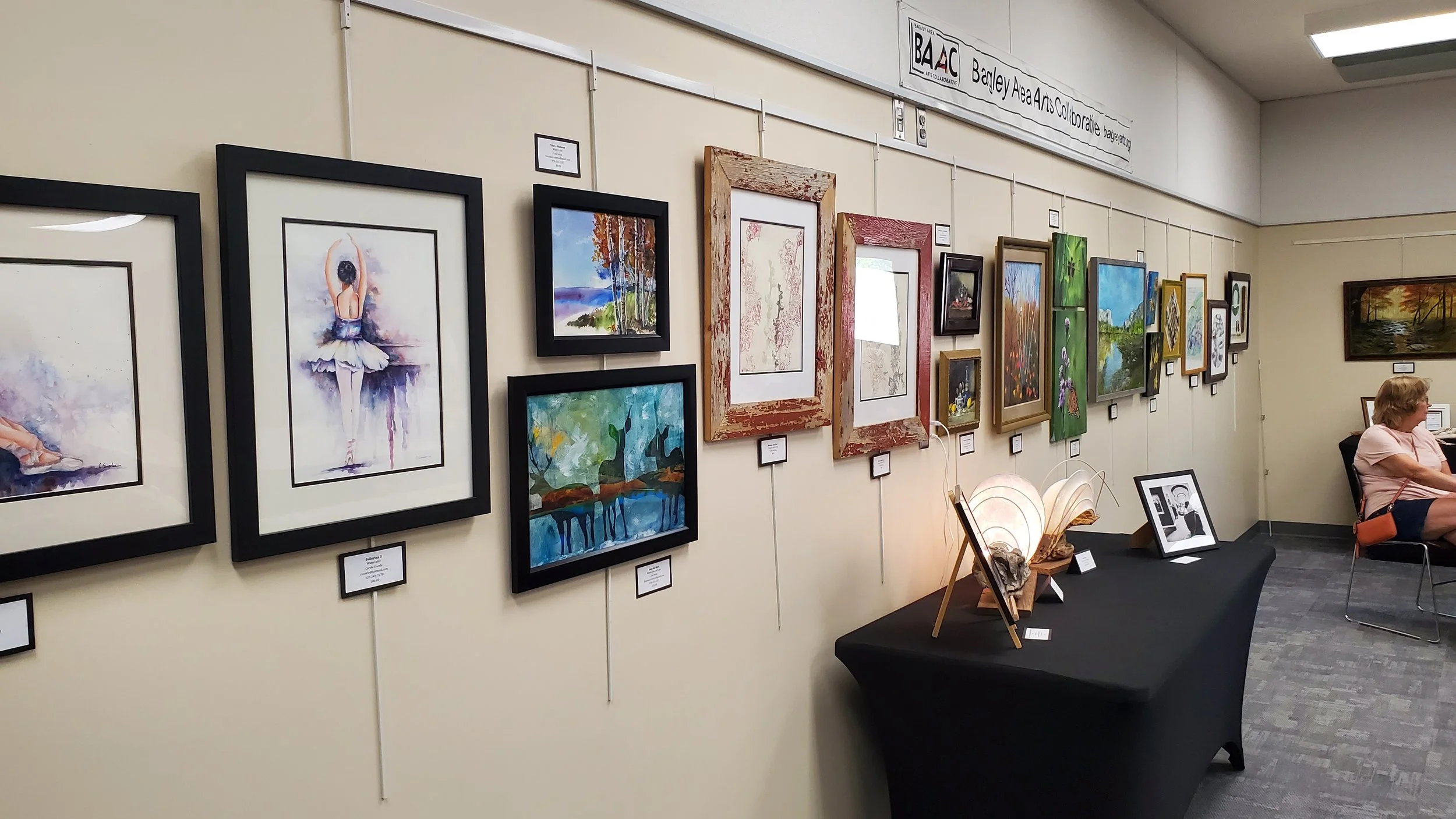 BAAC 2026 Members Show - Bagley Public Library