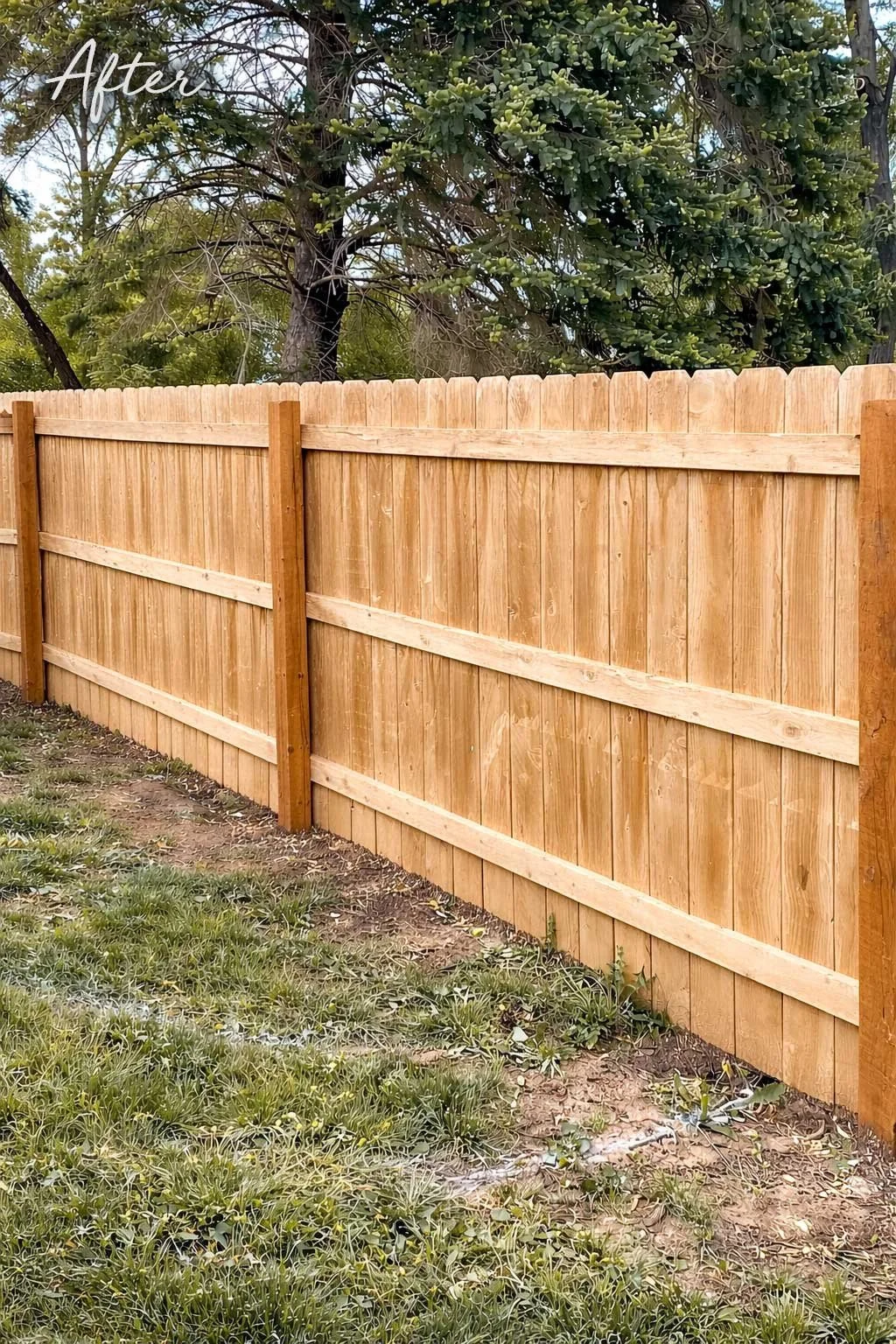 Clean fence with dark streaks and dirt removed from soft pressure washing.