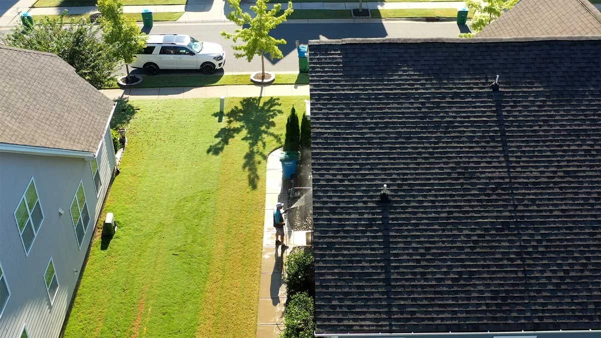 Roof after soft wash by professional.