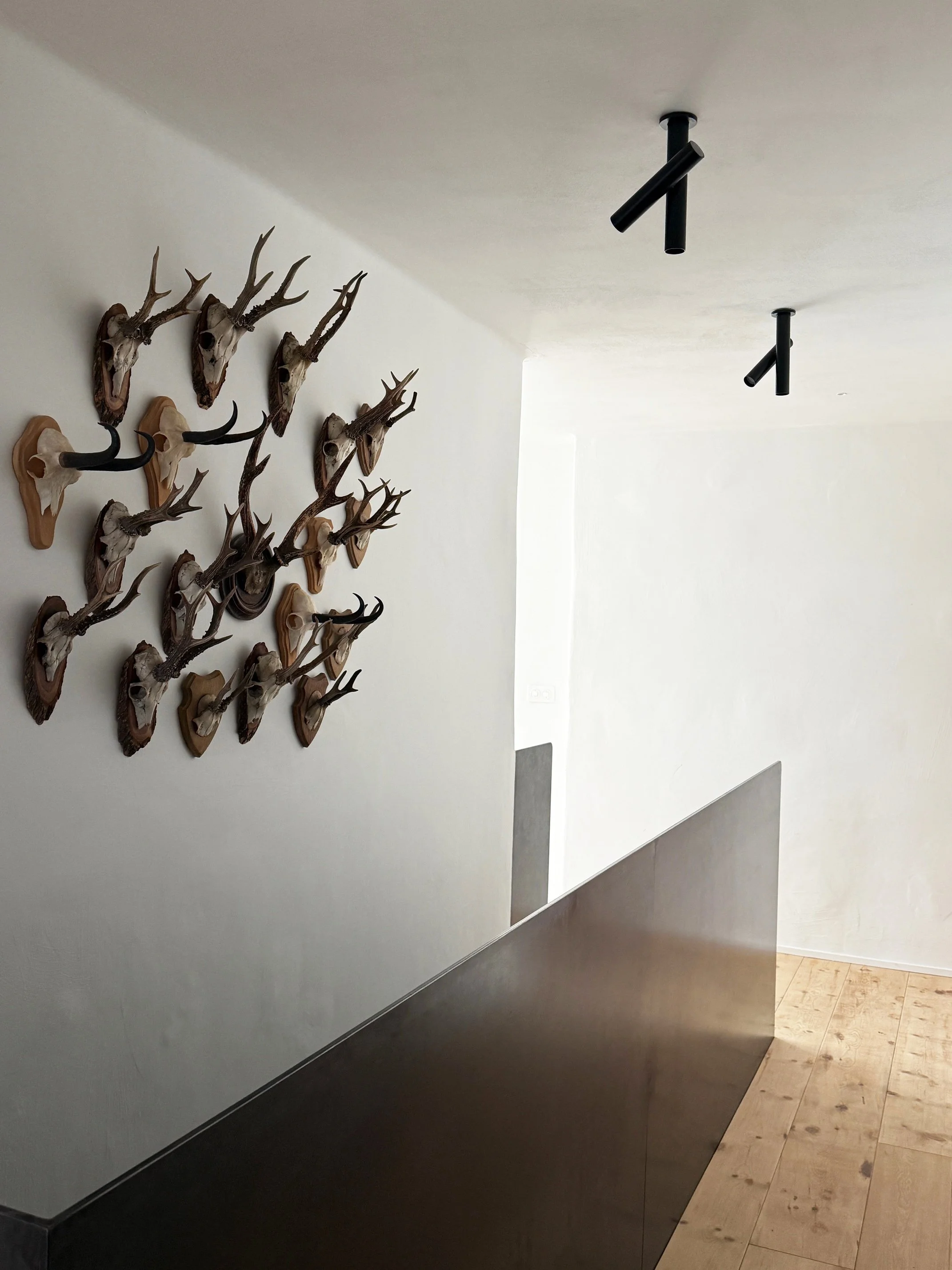 Mural di teste di cervo e di teschi di animali su una parete bianca, parte di una decorazione interna moderna.