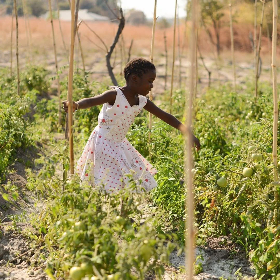 A young girl in a white dress with red polka dots tends to tomato plants in a garden with wooden stakes supporting the plants, and a background of trees and open sky.