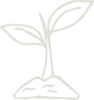 Simple black and white illustration of a plant sprouting from the soil.
