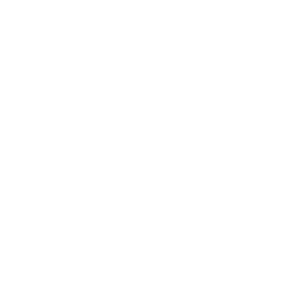 A white, stylized flower with rounded petals on a black background.