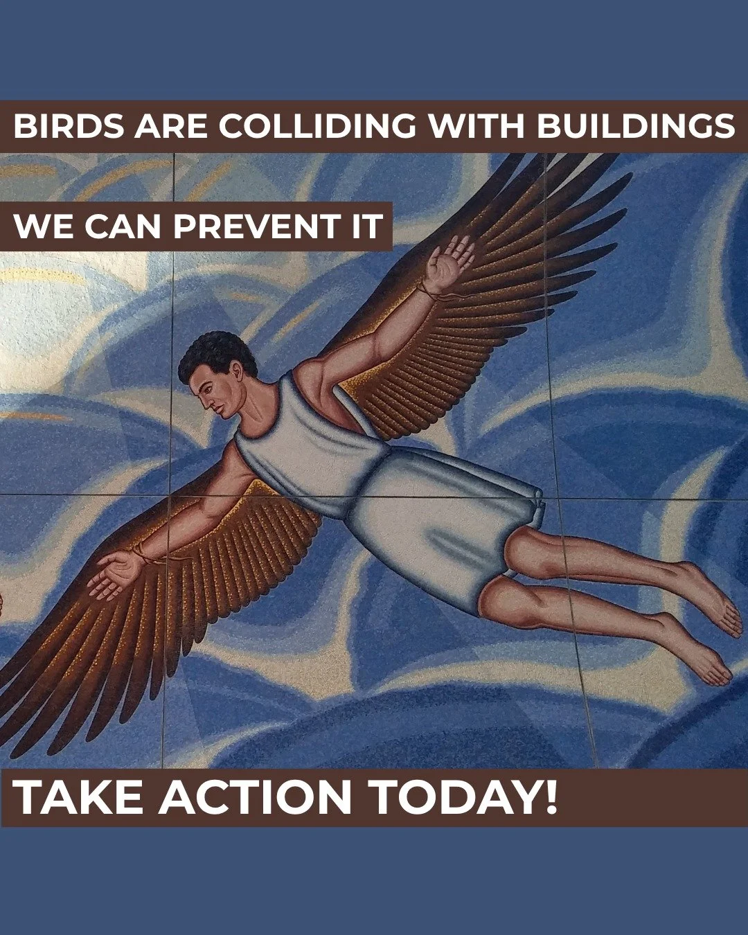 Birds and buildings don&rsquo;t have to be a deadly combination. 🐦

Chicago can do better.

A mandatory bird-friendly building ordinance has been introduced in Chicago City Council. If you live or work in Chicago, ask your alderperson to support it.