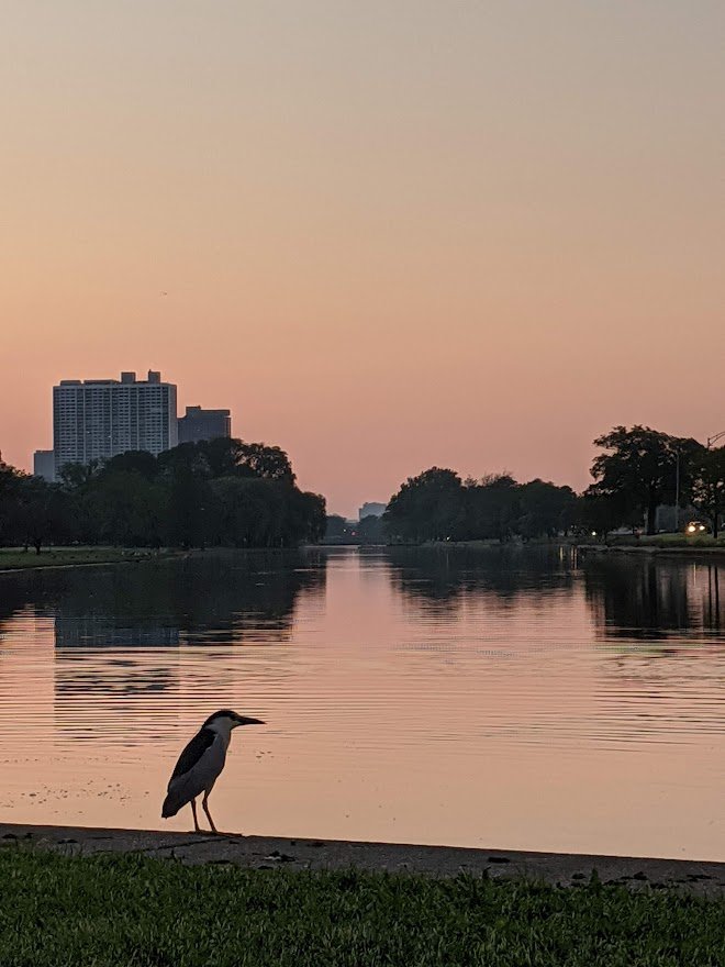 2020 Lagoon dusk.jpg