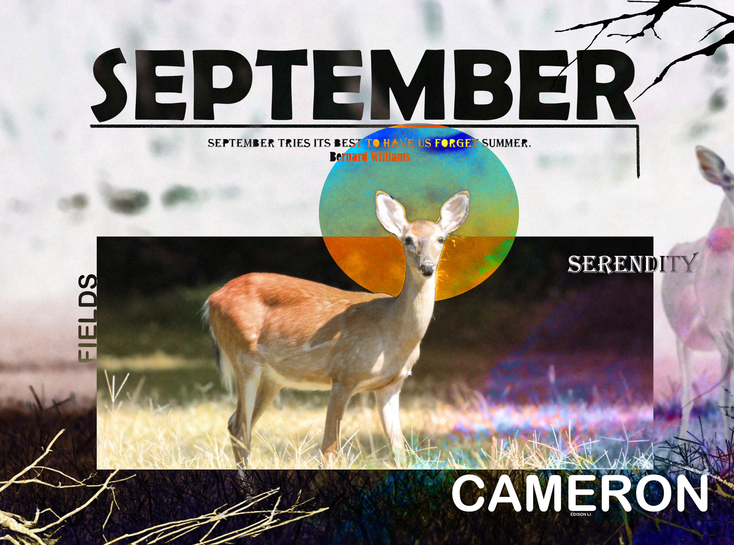 Deer.png