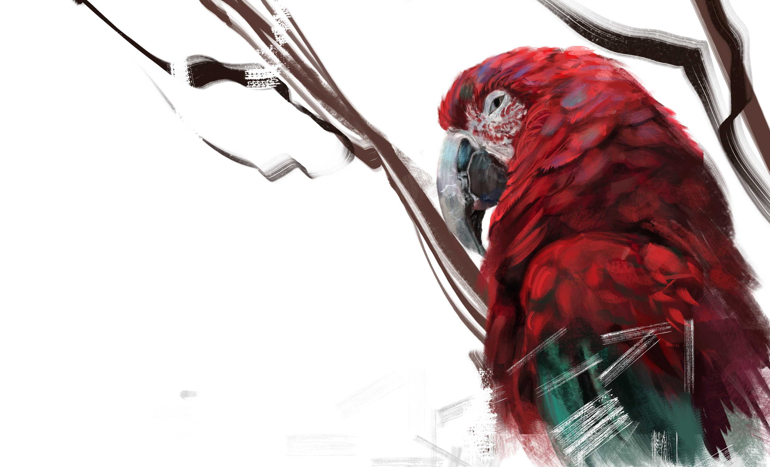 Parrot.png
