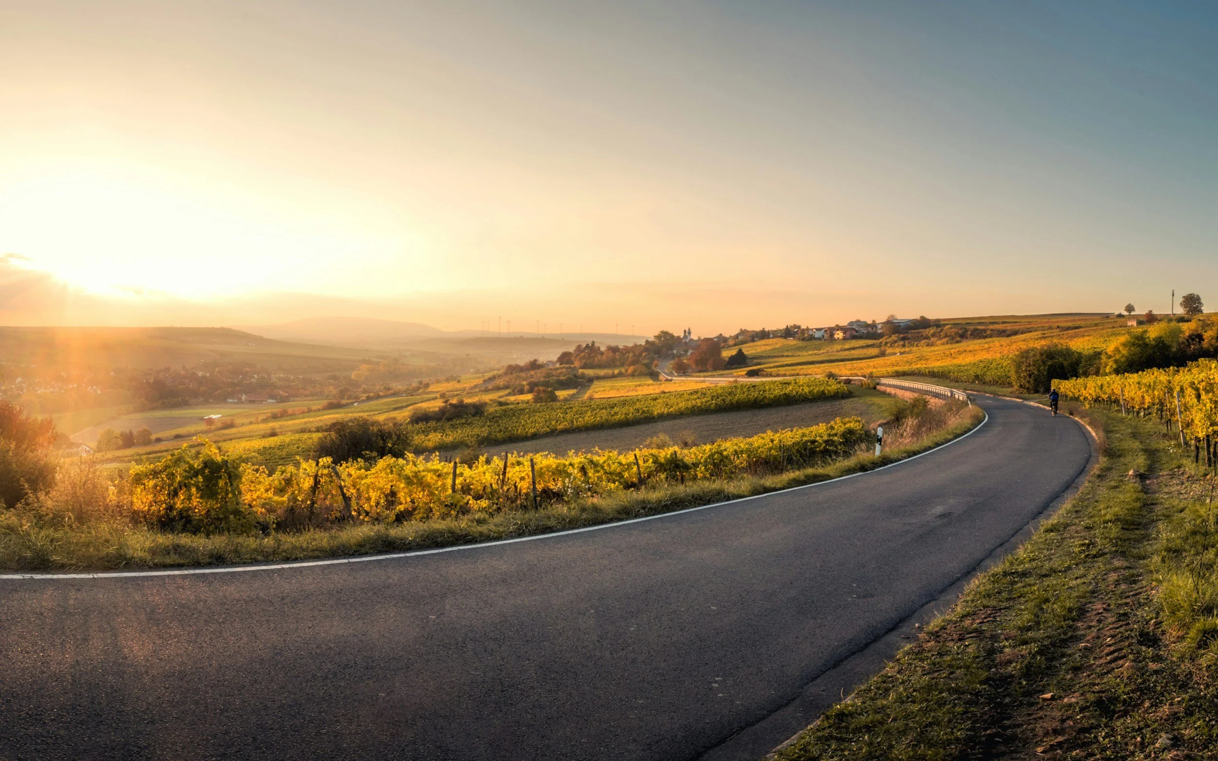 A winding rural road runs through a hillside landscape with vineyards and small houses, with the sun setting on the horizon casting a warm glow over the scene.