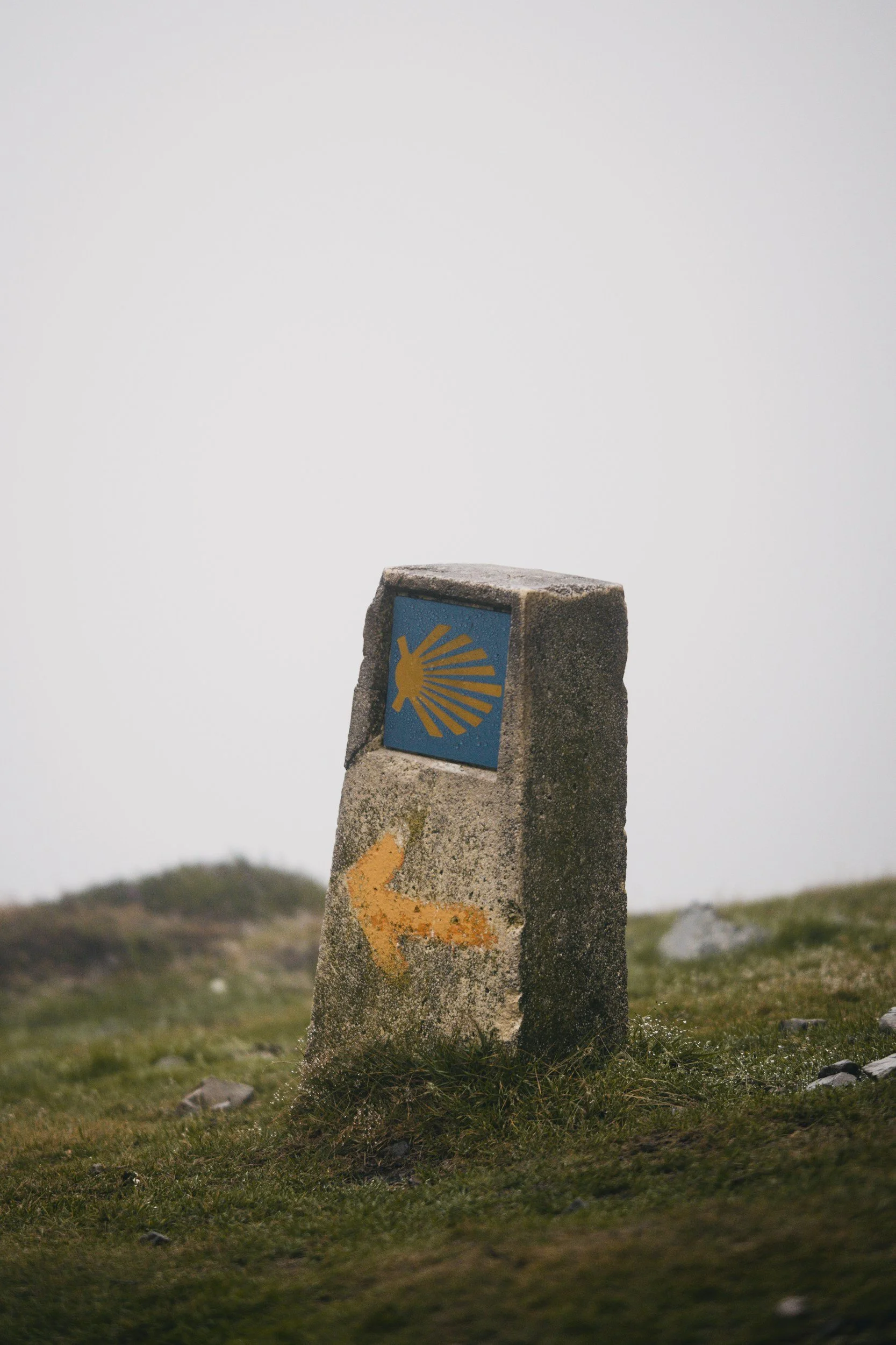 A stone marker with a blue square and a yellow scallop shell symbol, indicating the Camino de Santiago trail, is situated in grassy terrain under a cloudy sky.