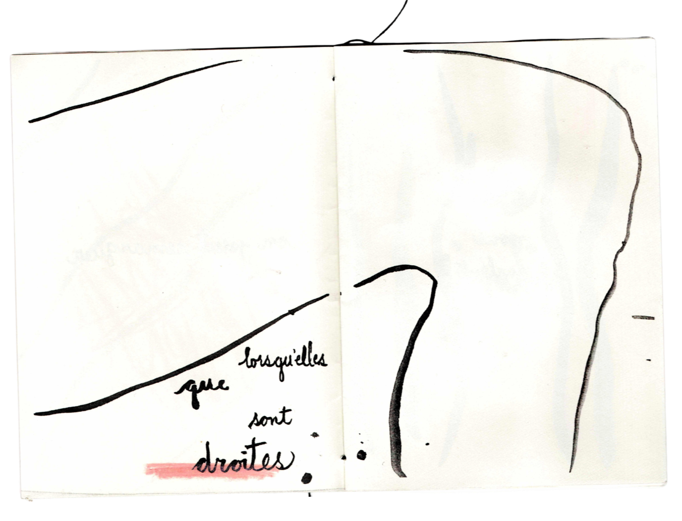 Dessin illustrant le territoire avec la légende 'les moustiques se sont draites'.