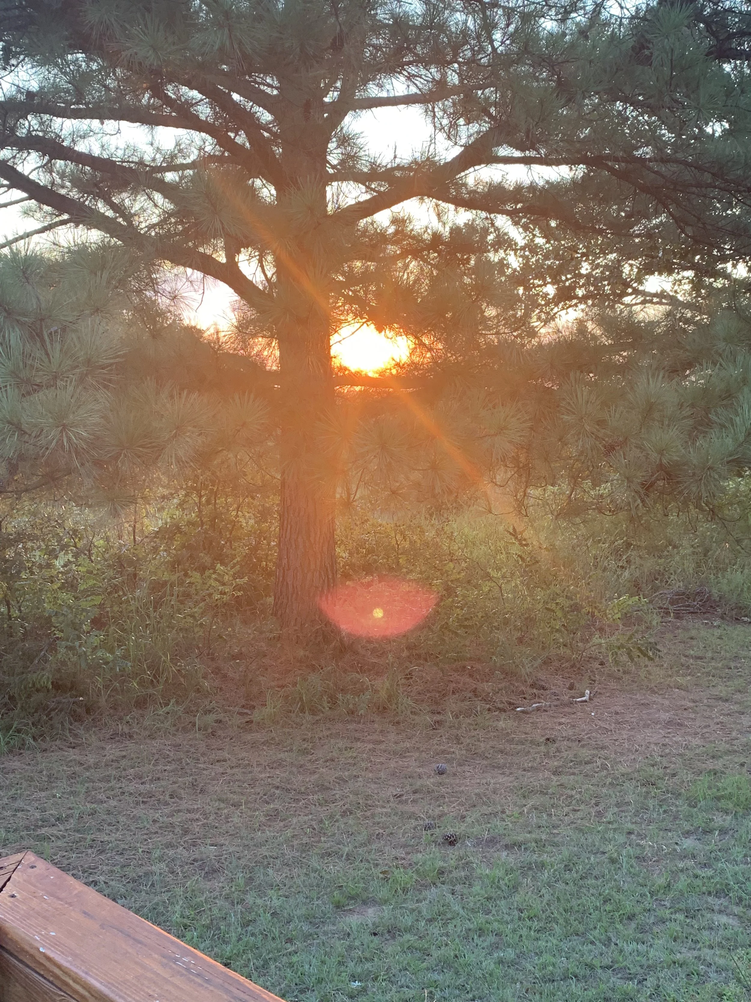 Yearly transit readings, charts for your family, and any other question you are asking...