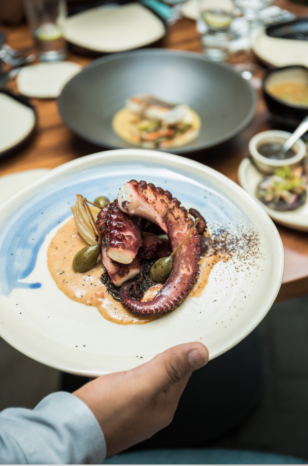 Plato con pulpo a la parrilla, aceitunas y salsa en un plato de cerámica