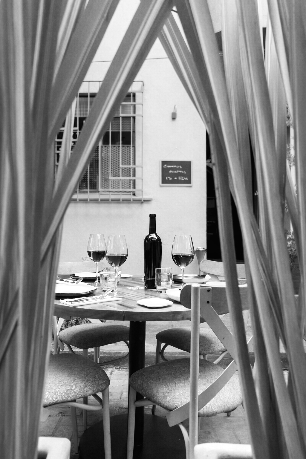 Mesa de cena con cuatro copas de vino y una botella de vino, vista a través de unas plantas en un ambiente exterior o patio.