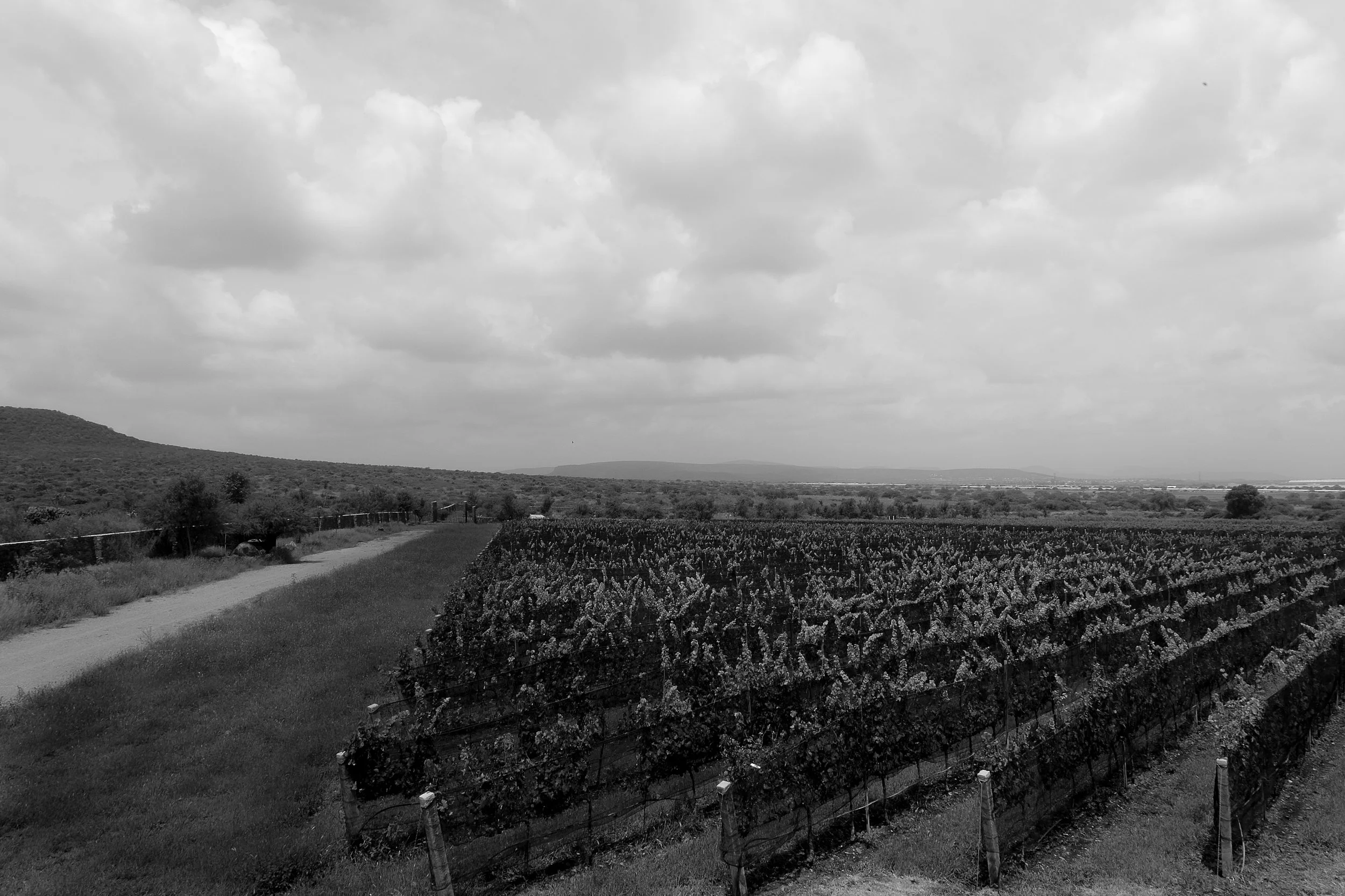 Experiencia Completa · 16 ago - 24 ago · 2026