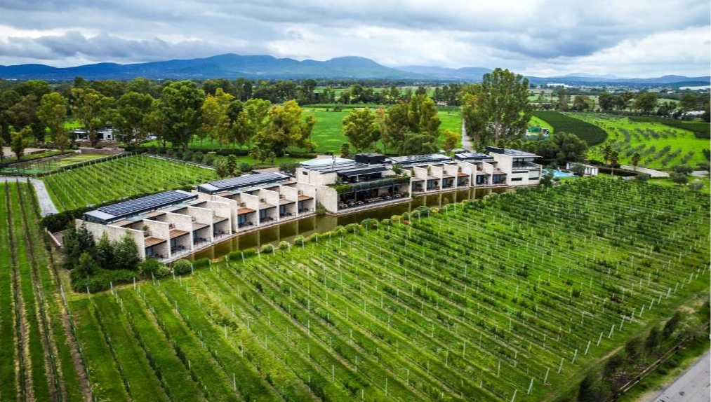 Viñedo con casas modernas y paneles solares en un fondo de montañas y cielo nublado