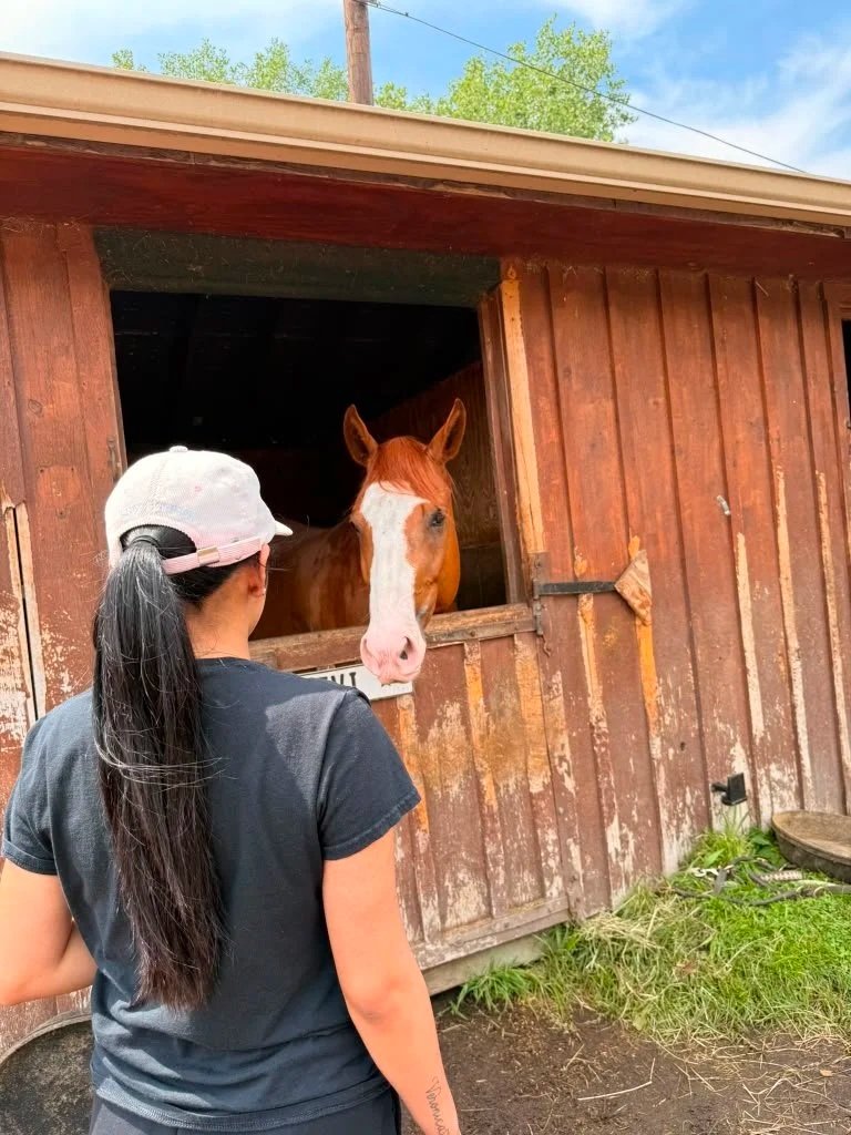 A woman with long black hair, wearing a light-colored cap and a black t-shirt, standing outside a wooden stable, looking at a brown horse with a white blaze on its face that is inside the stall.