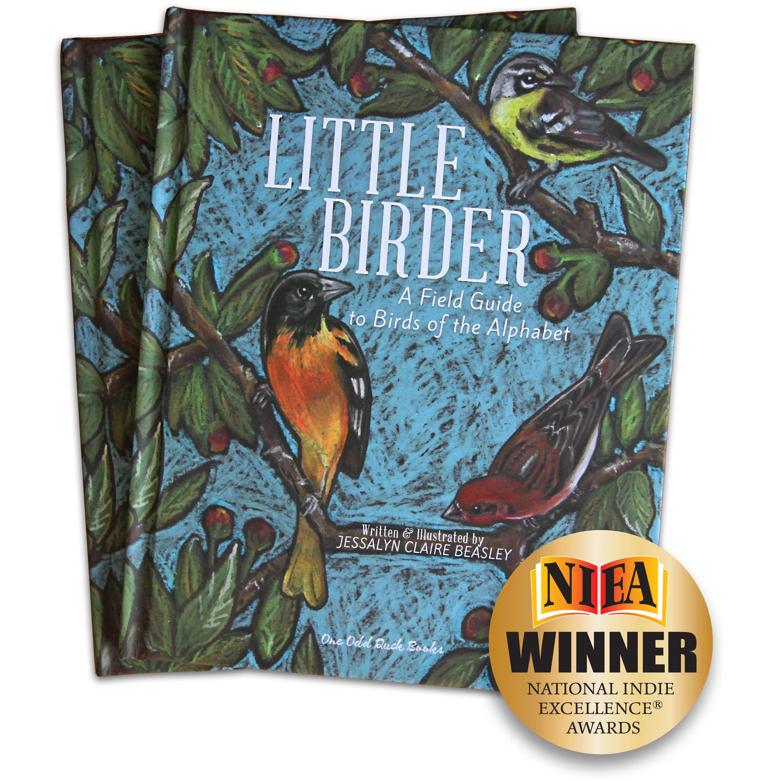 Little Birder Childrens book award winning