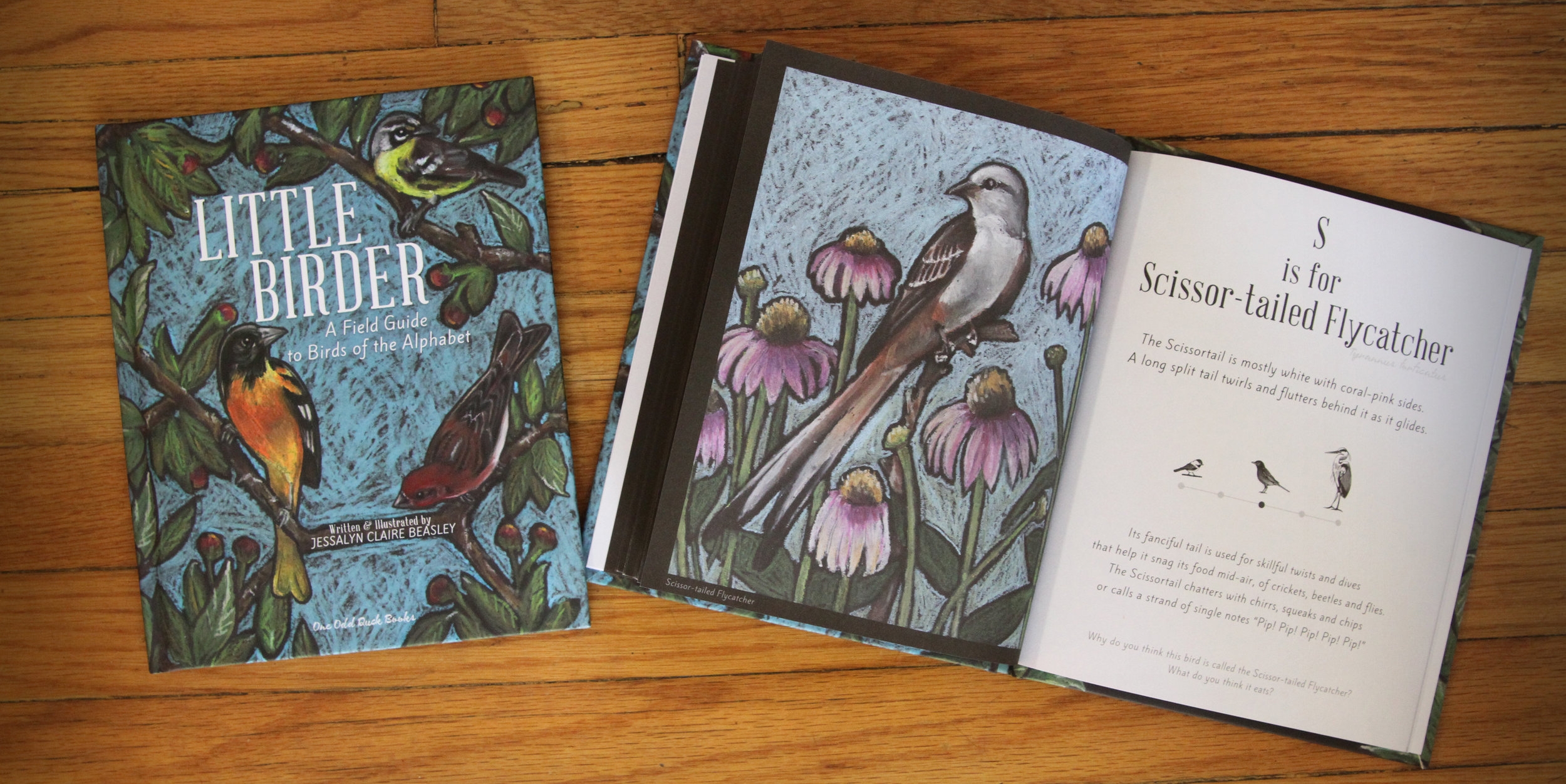 Little Birder Children's book