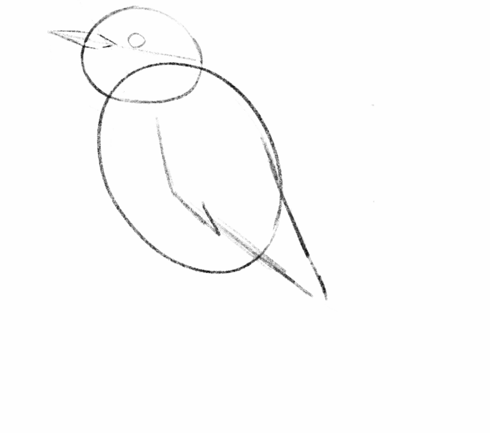 A black and white animated sketch of a bird that begins with the basic shapes and builds to a full drawing of a bird.