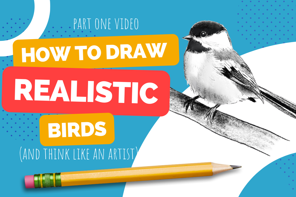 Free Art Class for Kids | How to Draw Realistic Birds on Outschool - Part One