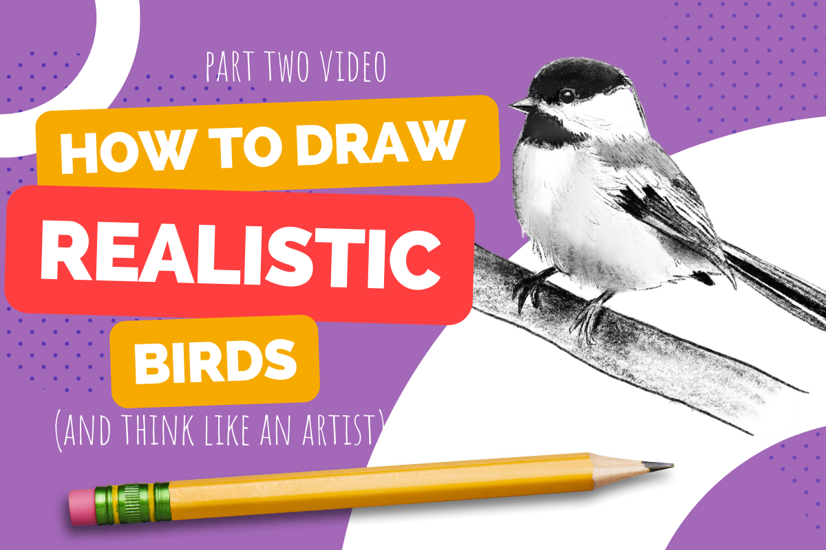 Free Art Class for Kids | How to Draw Realistic Birds on Outschool - Part Two: Guided Drawing Video