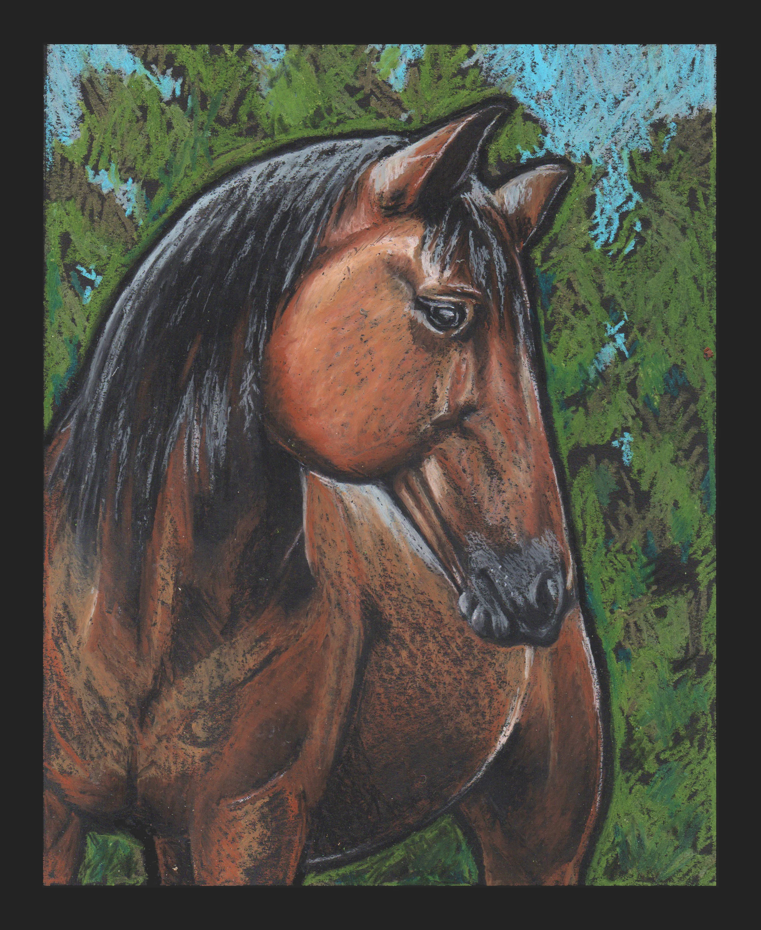 Horse_border8x10.jpg